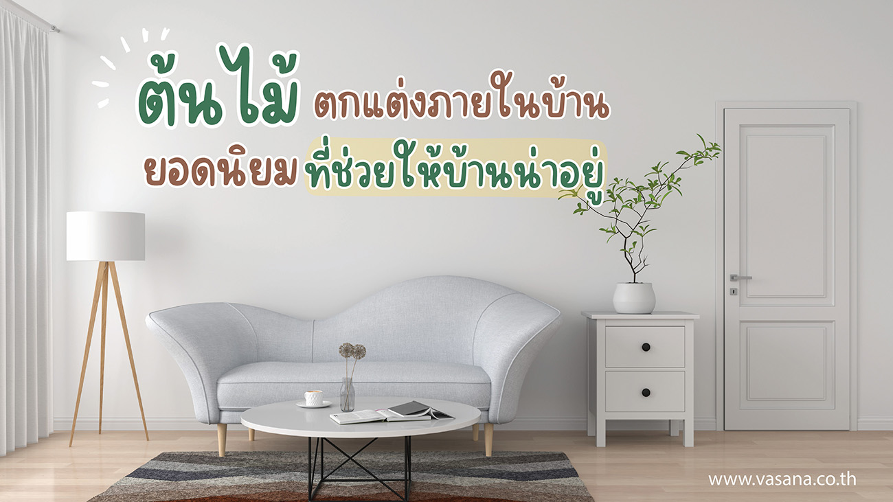 ต้นไม้ตกแต่งภายในบ้าน