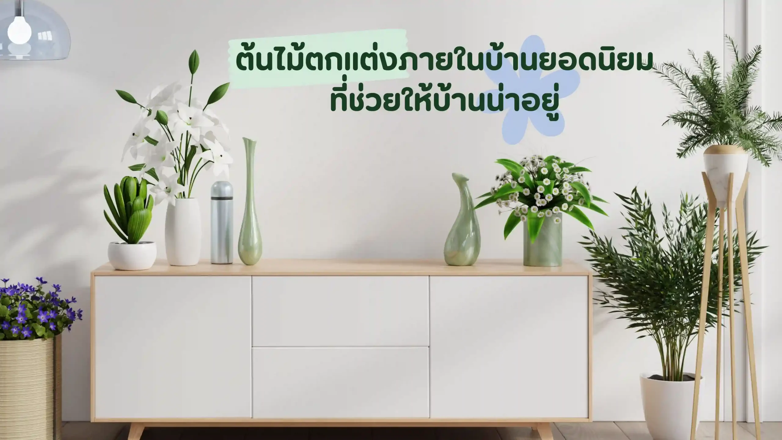 ต้นไม้ตกแต่งภายในบ้านยอดนิยม